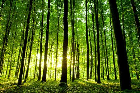 NYK signs agreement with Nakashima Propeller and Fluid Techno to reduce GHG emissions