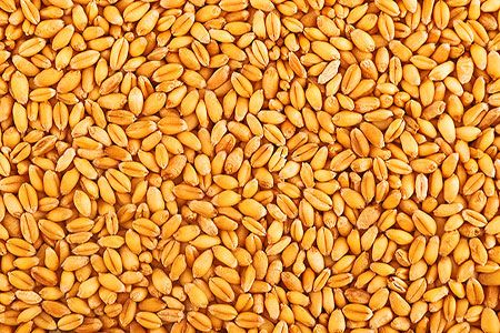 The Andersons, Inc. acquires majority ownership in Skyland Grain, LLC