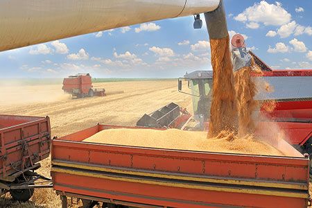 Wheat futures see decrease ahead of July