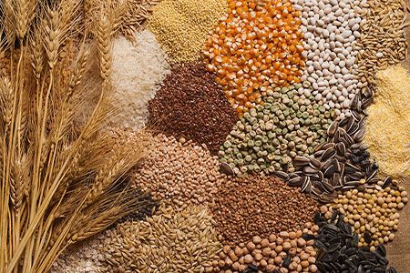 India extends tariff waiver on lentils to spring 2025