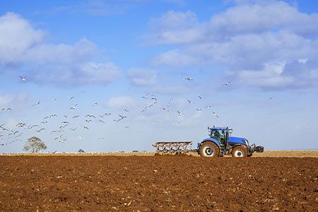 CBH Group adds to storage capacity for 2018-19 grain harvest