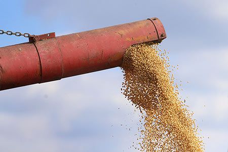Kernel Holding S.A. acquires 170 000 t of grain storage capacity