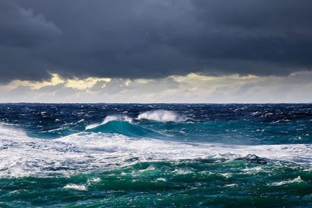 The Black Sea's Bulk Boom