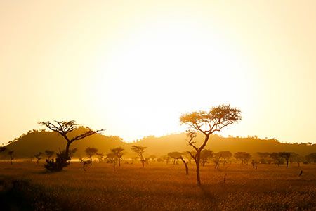 Winning International boosts Africa to Asia trade